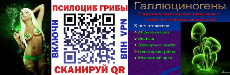 хочу наркоту  Козьмодемьянск  Галлюциногенные грибы Magic Shrooms 